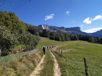 Le Mont Granier au loin